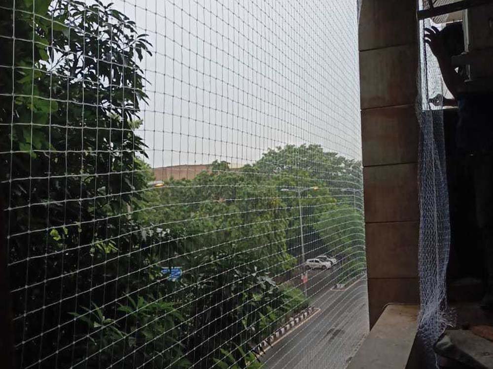Transparent Net